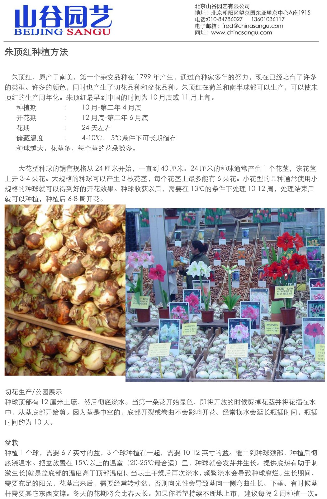 创世大发-莳植手艺信息