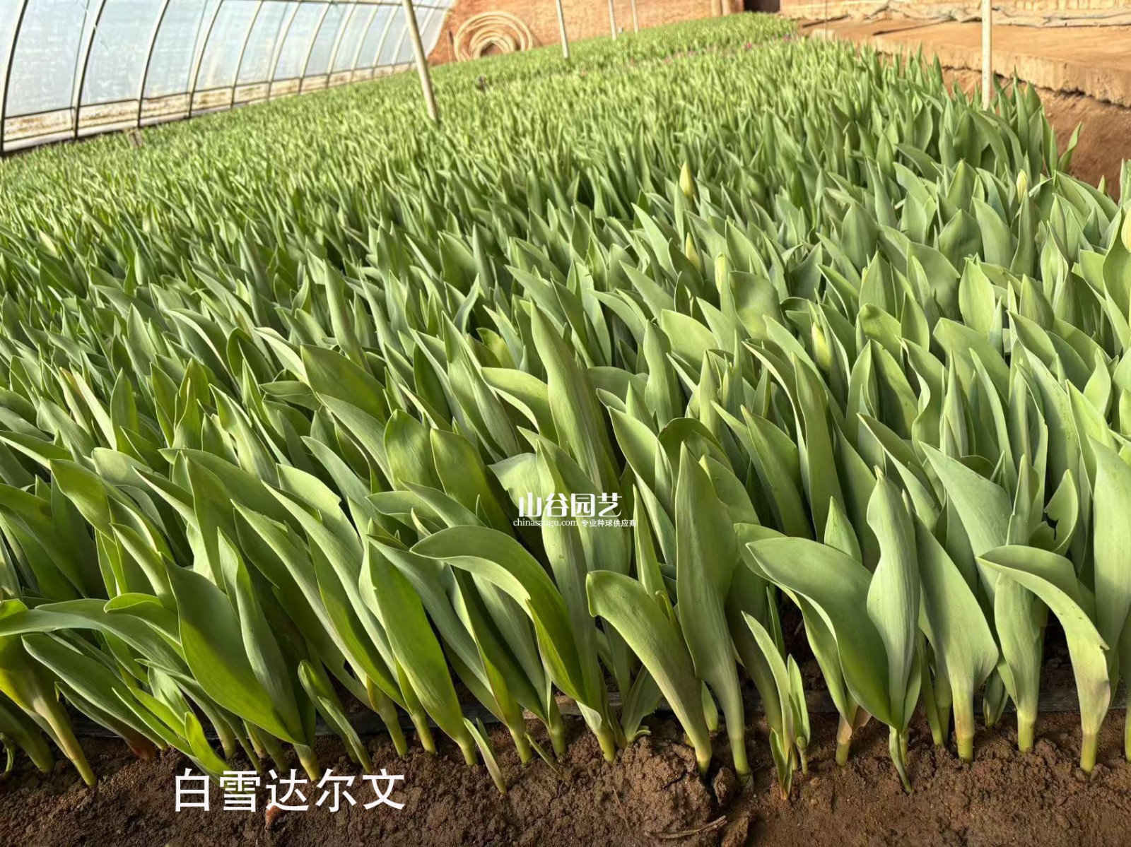 创世大发-新闻动态